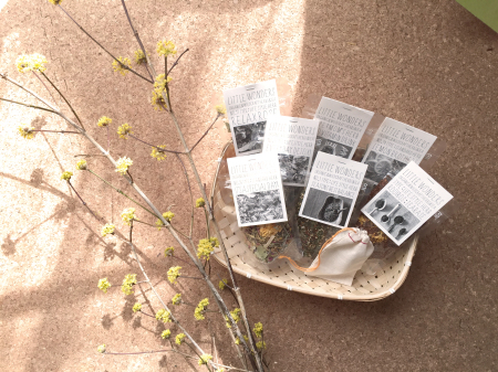 SET15_SPRING